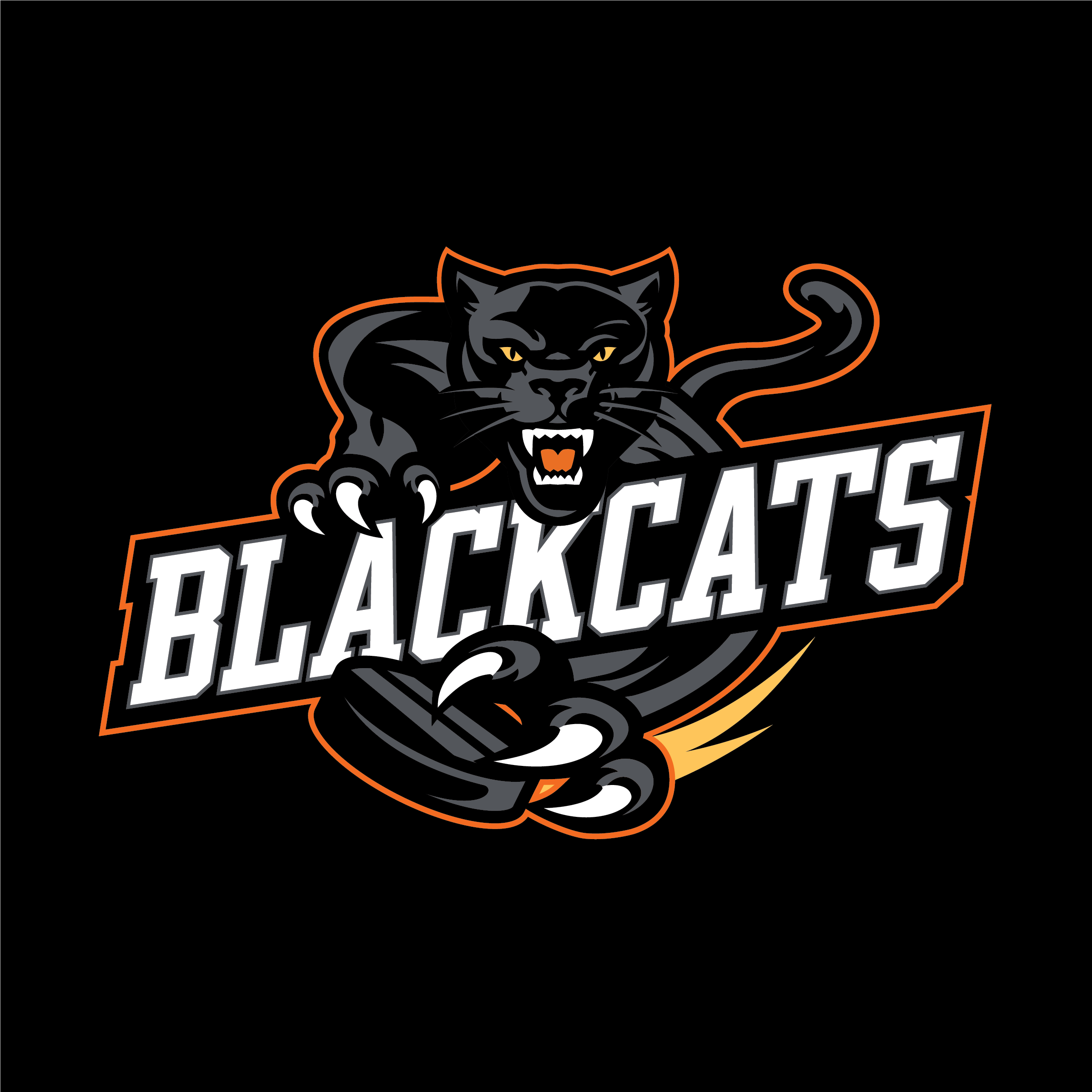 YAKSAK TEAM PATCHES: A - D