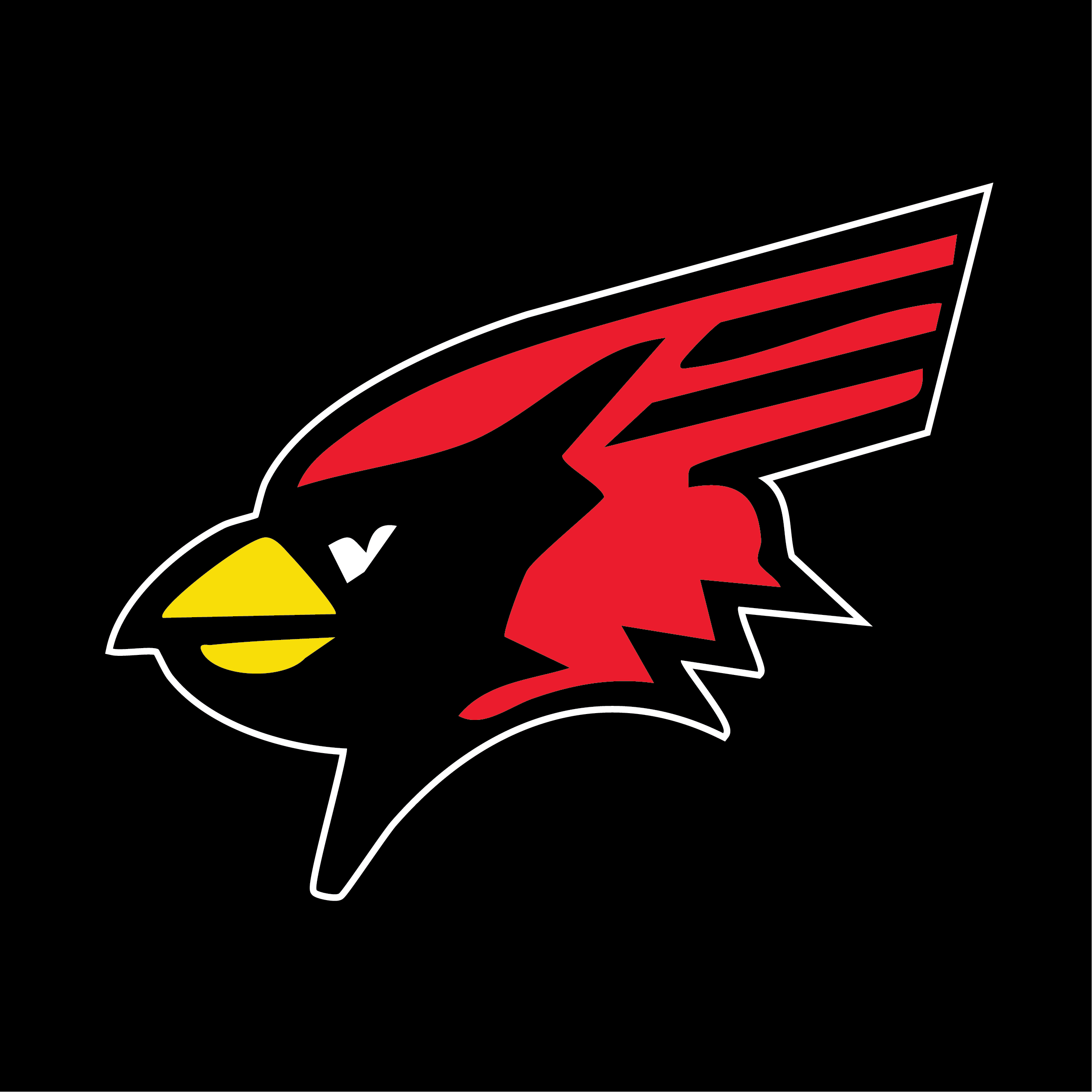 YAKSAK TEAM PATCHES: A - D